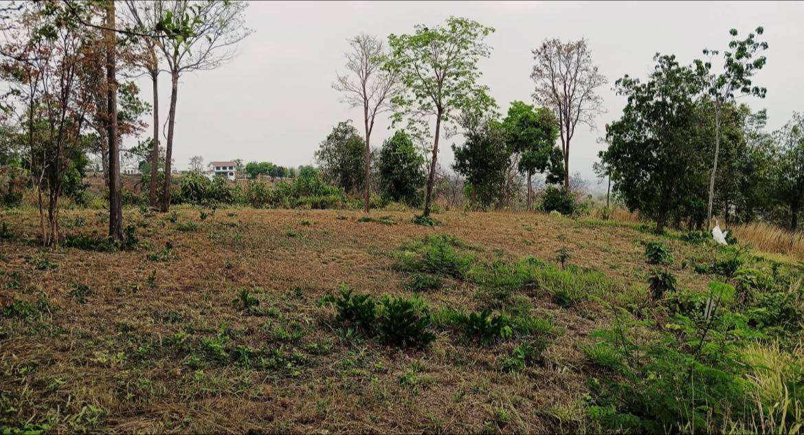 📣ขายที่ดินโฉนดครุฑแดงพื้นที่3ไร่84ตรว ต.ขนงพระ อ.ปากช่อง 